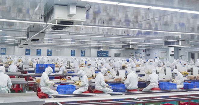 领航食品：科技赋能打造乡村振兴“新引擎”丨“中国梦·劳动美”系列报道⑥(图6)