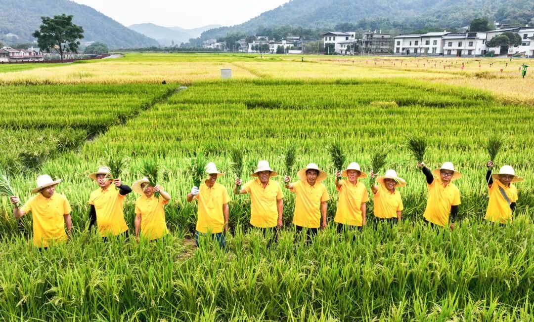 种业领跑、食品倍增、电商第一萍乡农业“三张牌”打出声势(图2)