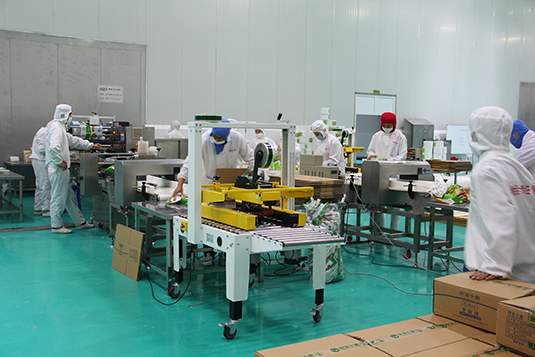 从焙烤展爆款到行业未来：膳印科技领跑食品喷花赛道全球百亿级市场风口已至(图1)