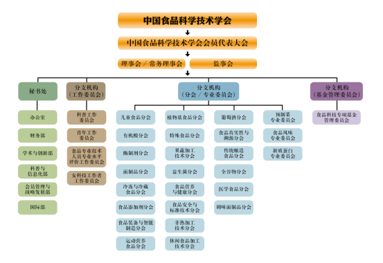 中国食品科学技术学会年报（2025年）(图1)