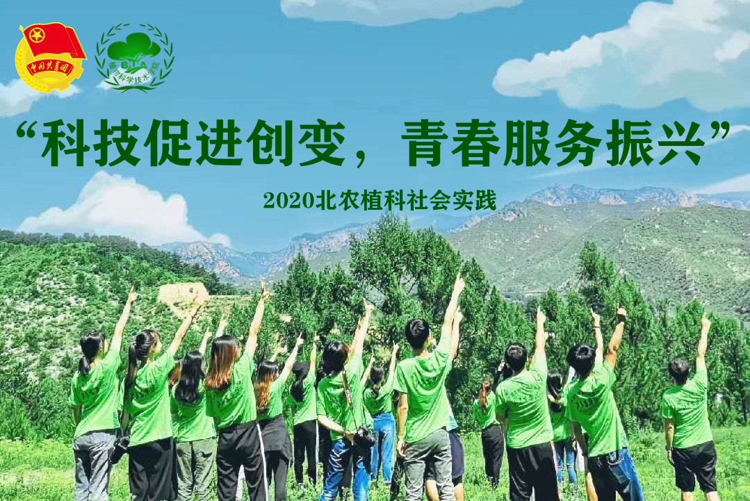 综述：芒果供应链采后损失：实践、技术及多层次参与者角色分析(图1)