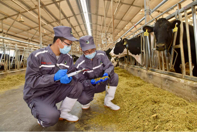 中国牧场管理能力达到世界顶级规模化、标准化、规范专业化水平跻身全球前列(图3)
