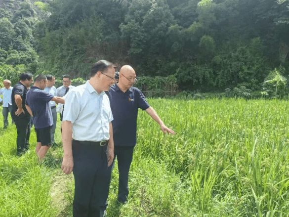 吕田局长赴柯桥区调研绿色农业全链条发展工作(图1)