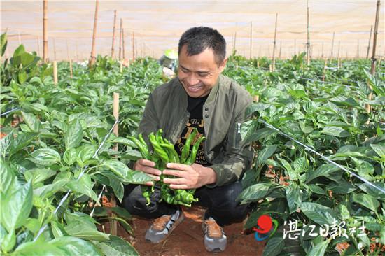 马云霞：上半年全省农业经济发展保持平稳(图1)