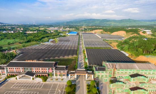 2026中国现代农业市场：不是消费者要吃什么是生产端先活不下去(图1)