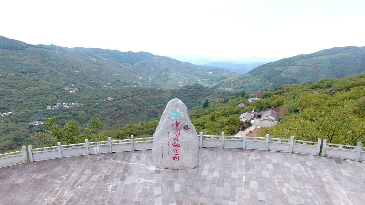 一颗核桃的增值之路：云南永平如何做深富民产业(图1)