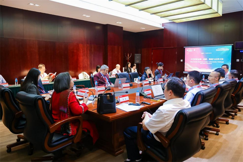 庆祝中巴建交75周年国际学术研讨会在京举行(图8)