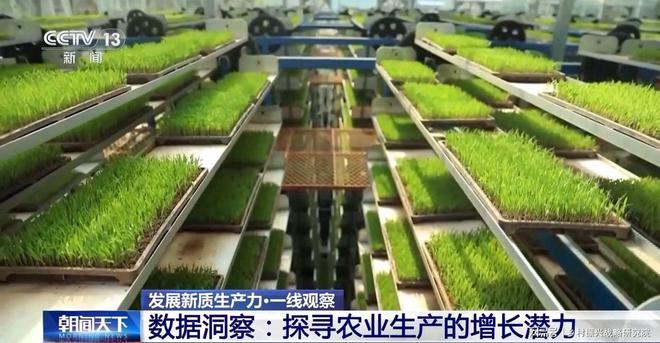 农业新质生产力与农业绿色转型研究——驱动效率提升与可持续发展