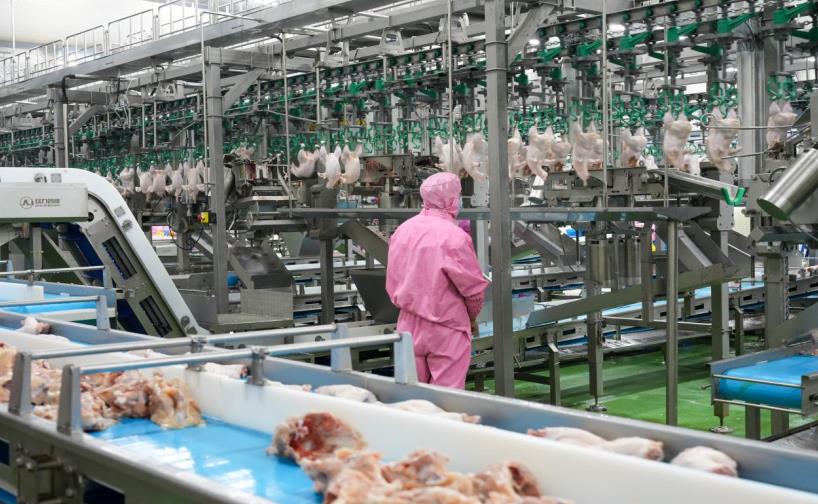 股市必读：熊猫乳品（300898）5月21日主力资金净流入27236万元