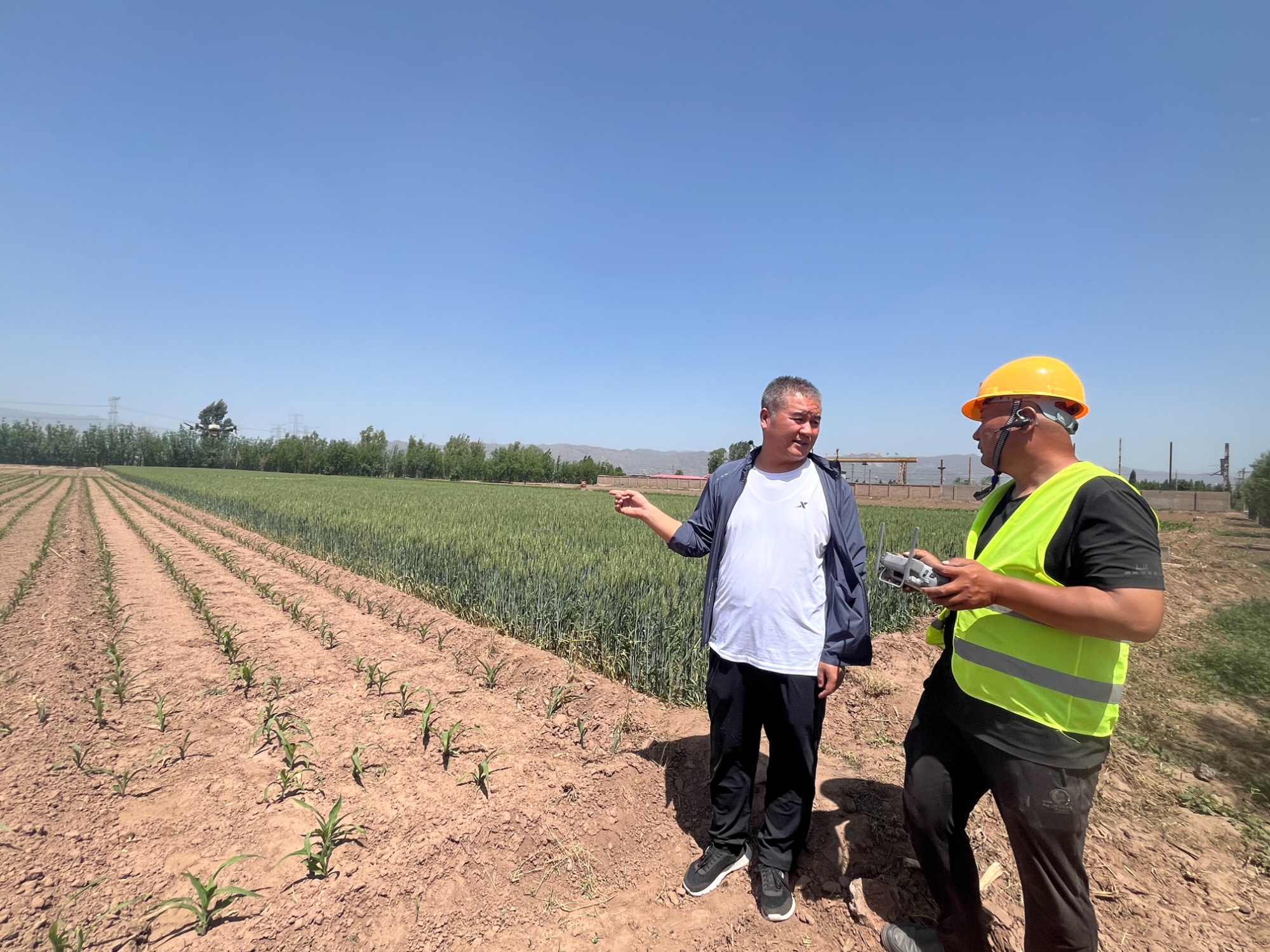 山西交城农业“田间课堂”厚植产业发展(图2)