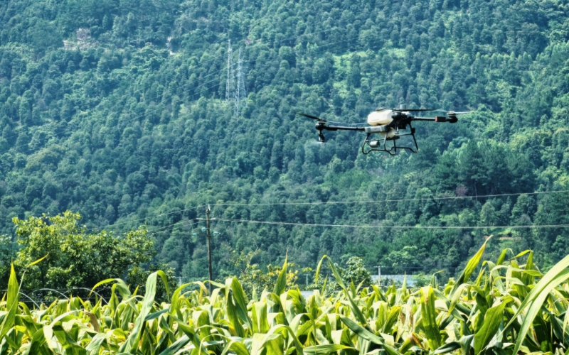 科技为笔绘振兴图景 马山种业书写“数字兴业”新答卷(图2)