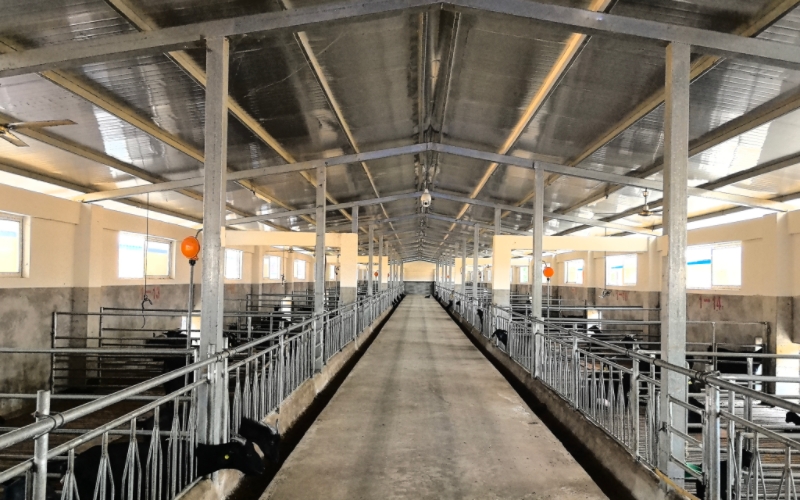 科技为笔绘振兴图景 马山种业书写“数字兴业”新答卷(图3)