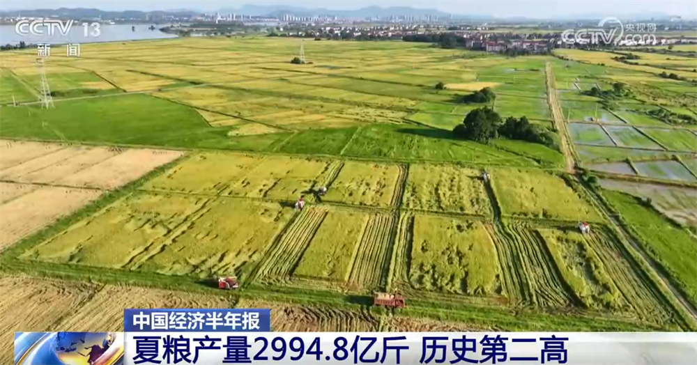 夏粮产量创新高 农村改革持续深化——上半年农业农村经济运行亮点透视(图2)