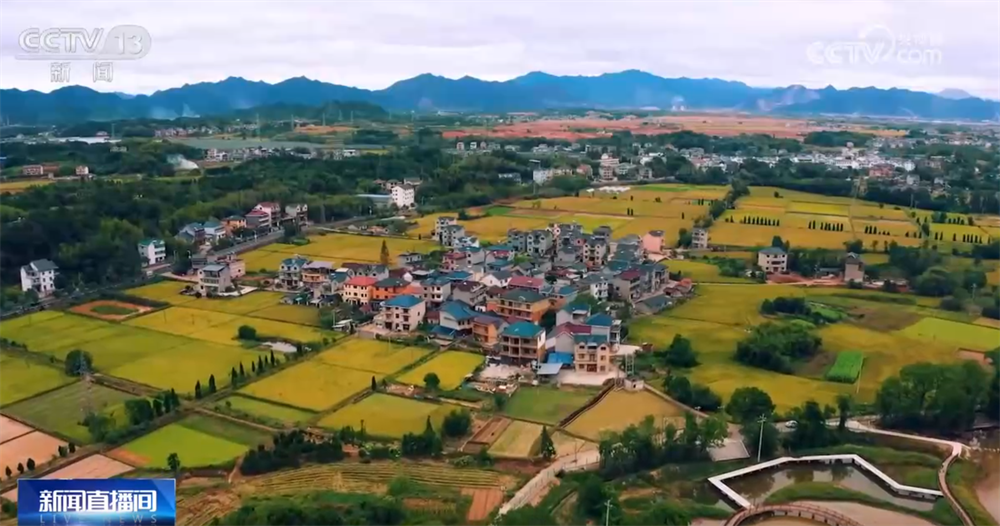 夏粮产量创新高 农村改革持续深化——上半年农业农村经济运行亮点透视(图7)