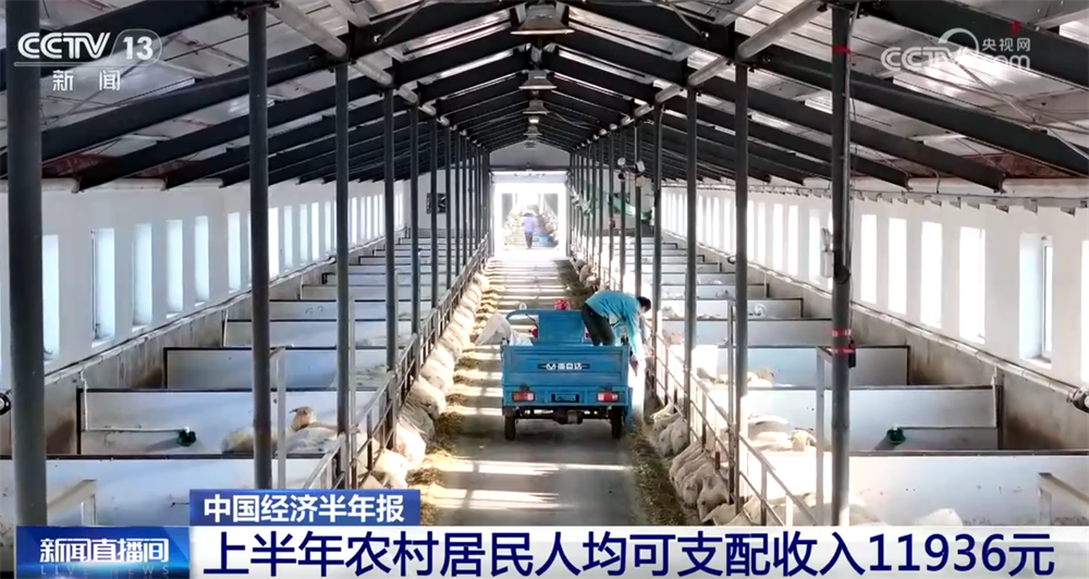 夏粮产量创新高 农村改革持续深化——上半年农业农村经济运行亮点透视(图6)