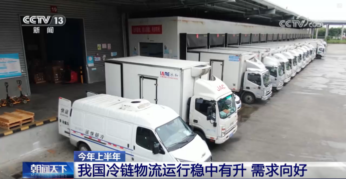 央视聚焦！华鼎冷链凭科技创新模式 “出圈”