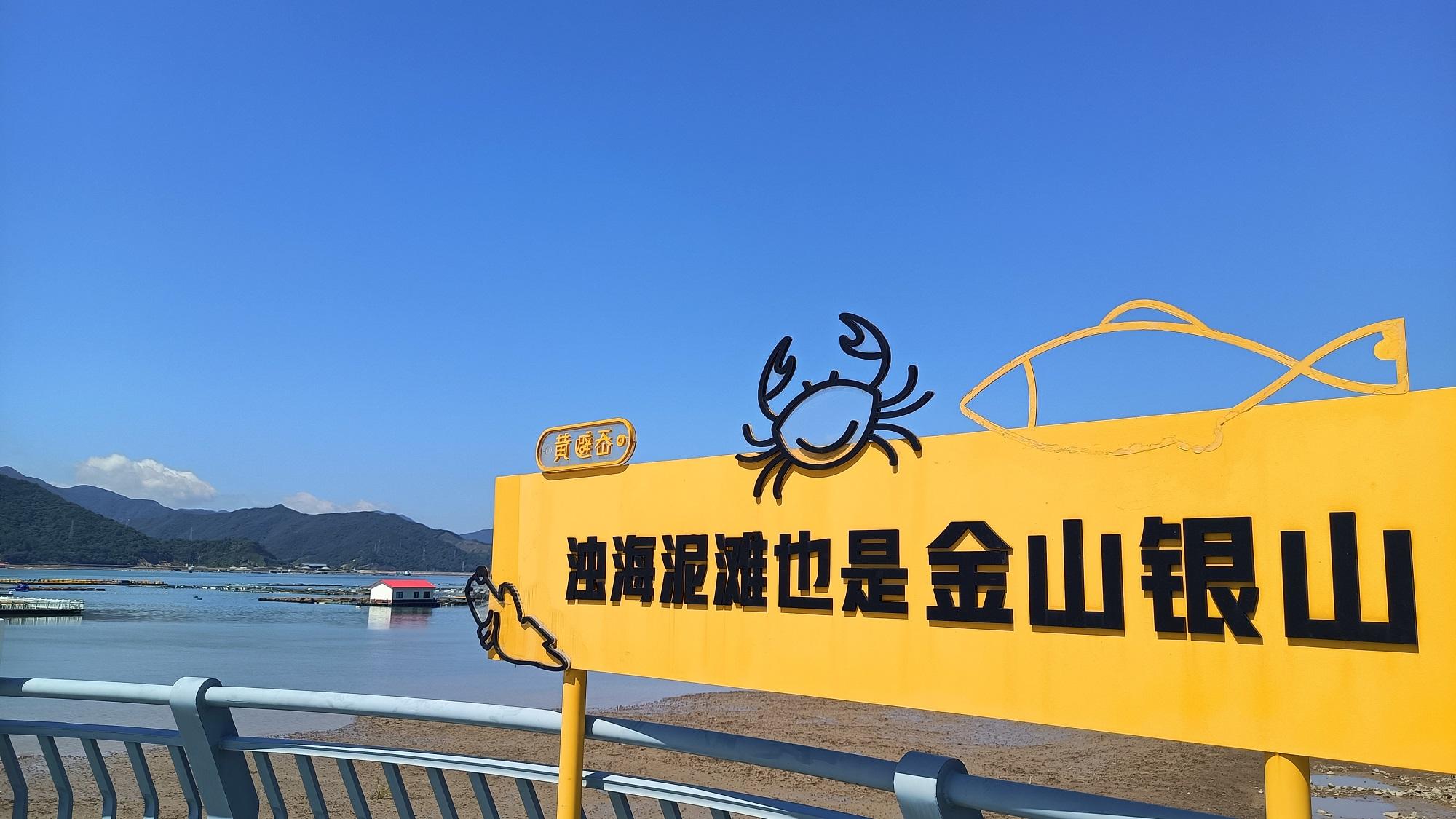 活力中国调研行丨浙江象山：从“卖特产”到“卖碳汇”(图2)