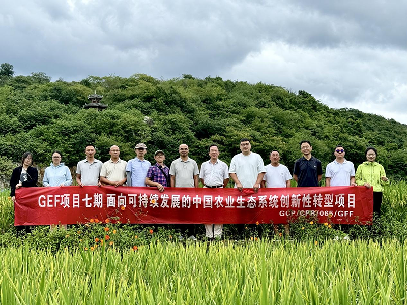 贵州大学GEF项目助力农耕转型