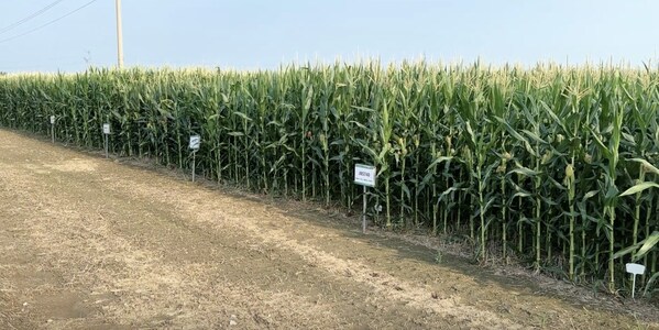 中化农业MAP发布《2024绿色高质量发展报告(图5)