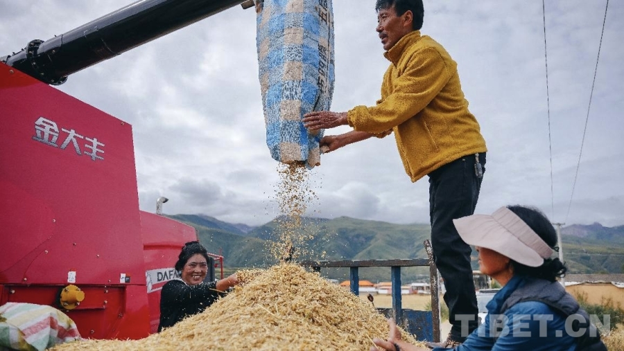 四川甘孜县：探索高原农业现代化新路径