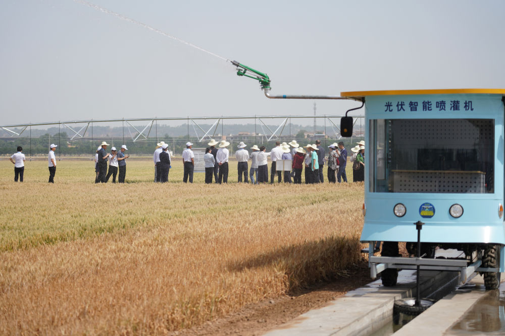 上合组织天津峰会丨建设繁荣发展的共同家园——中国携手上合组织伙伴共走可持续发展之路(图3)