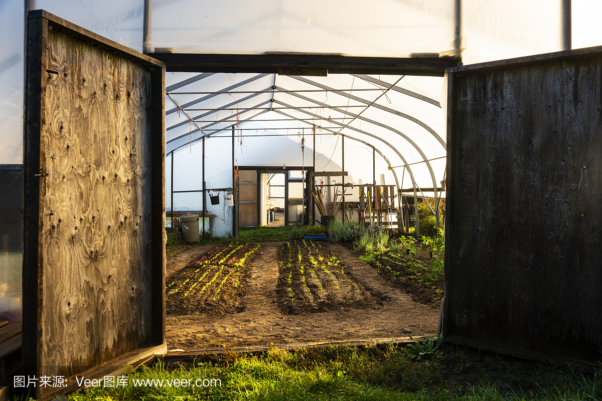 聚焦共建韧性食物供应体系2025世界农业科技创新大会将于10月12日开幕