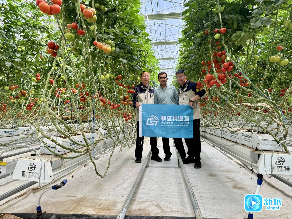 潍坊国家农综区：新时代中国农业走向世界的国家名片