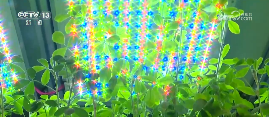 巡检机器人、无人化工厂……解锁农业“智”管新范式 科技赋能好“丰”景(图10)