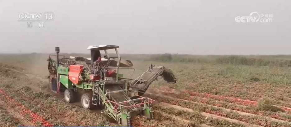 巡检机器人、无人化工厂……解锁农业“智”管新范式 科技赋能好“丰”景(图12)