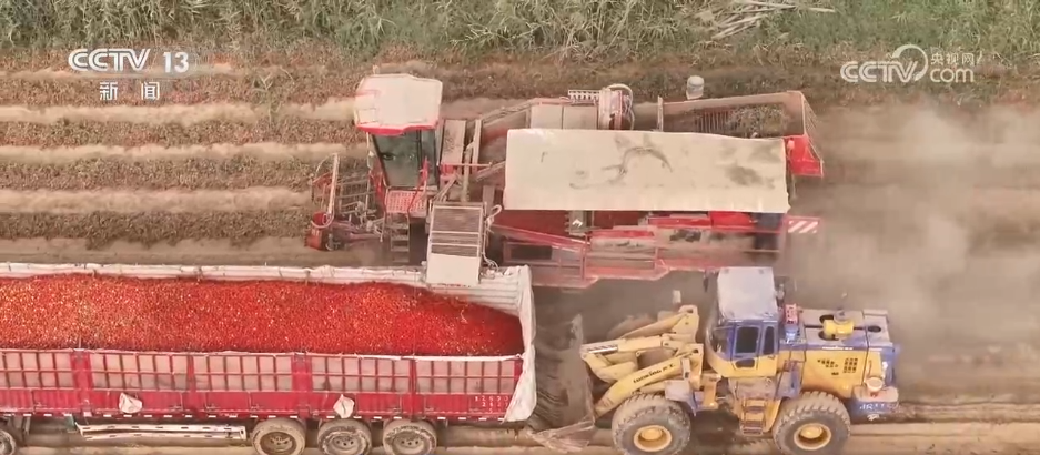 巡检机器人、无人化工厂……解锁农业“智”管新范式 科技赋能好“丰”景(图13)