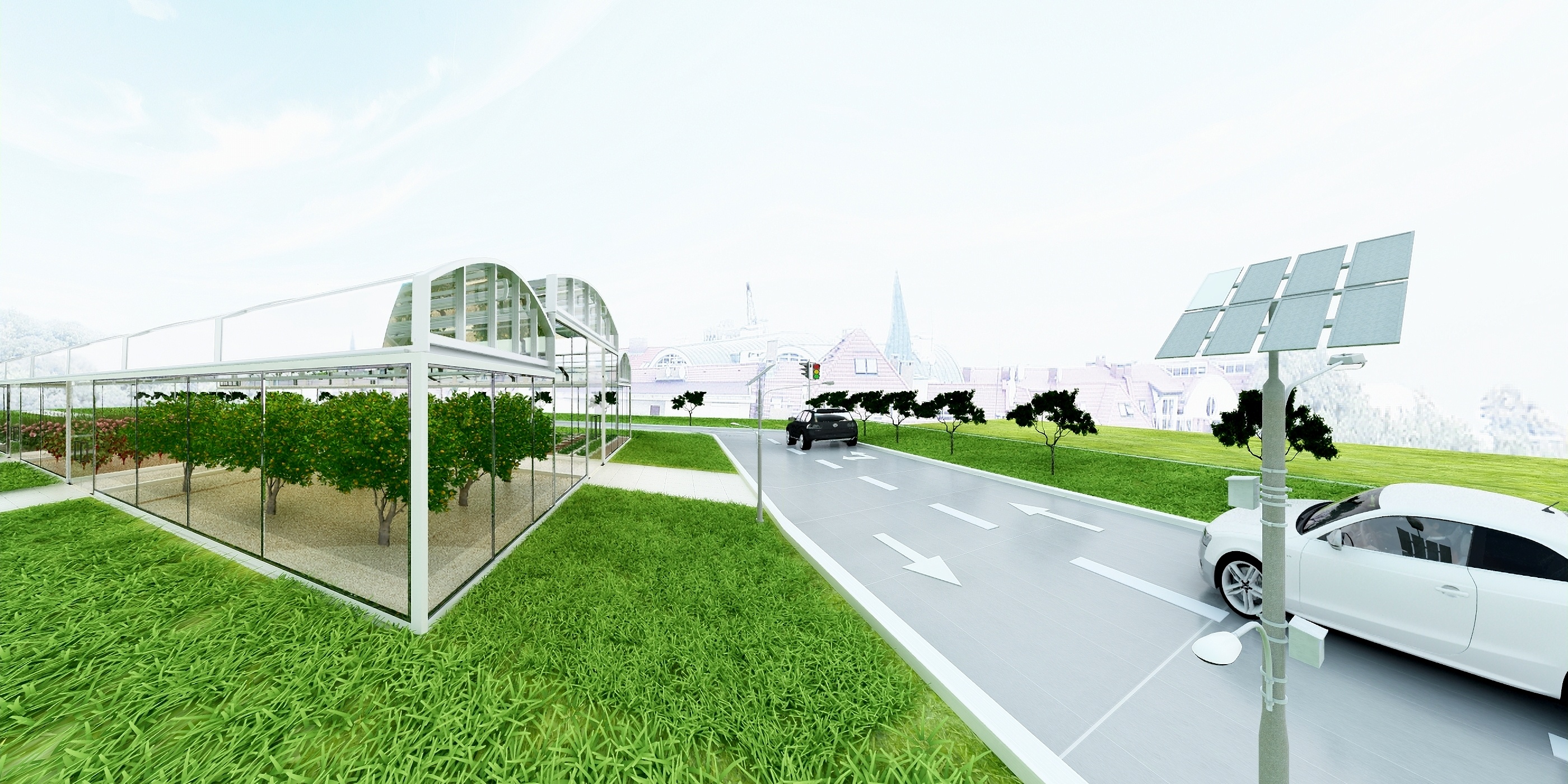 田坤道：推动生态农业发展打造粮油新生态