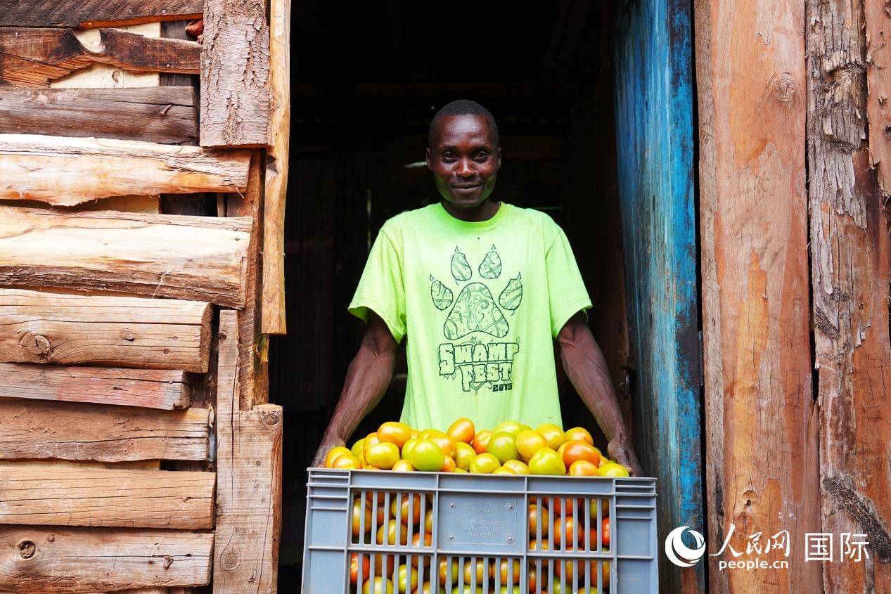 中肯合作培育“新农人”：为肯尼亚农业现代化建设注入新动力(图3)