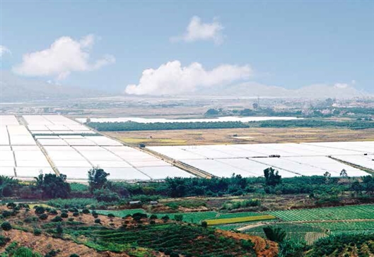 有机农产品种植与加工项目可行性研究报告