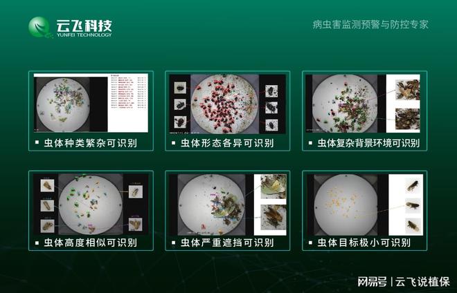 自动虫情测报灯：推动农业绿色可持续发展(图3)