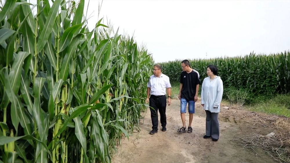 新华视点｜金秋九月话丰收 特色农业绘就乡村振兴新图景(图13)