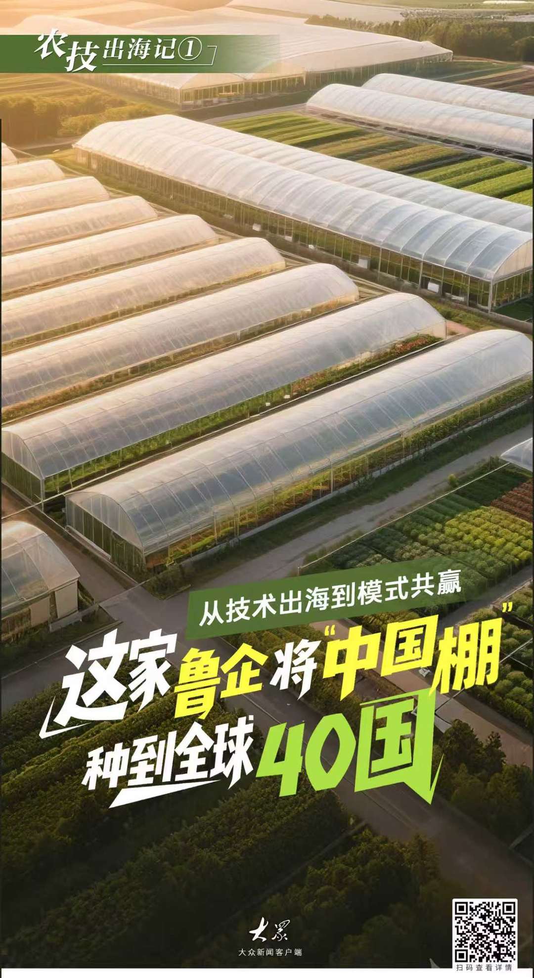 农技出海记①丨从技术出海到模式共赢这家鲁企将“中国棚”种到全球40国