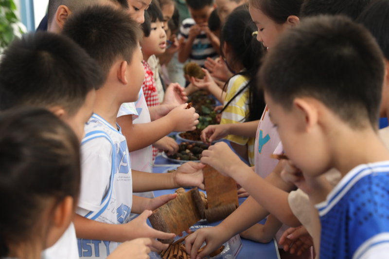 2025年全国科普月∣广西林科院打开森林食品科学探索之旅(图4)
