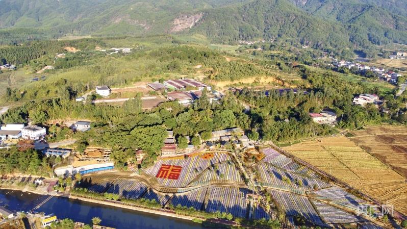 非凡“十四五”丨福建农业农村：山海奋进谱新篇 沃野渔歌看巨变(图3)