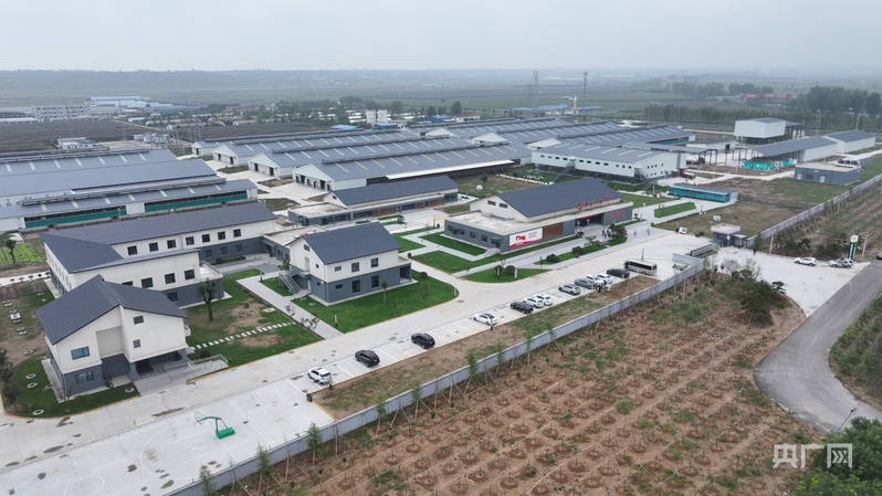 高质量发展看中国从一只羊到一杯奶的的科技密码