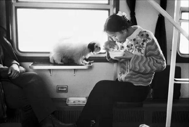 从泡面到文创雪糕一节车厢浓缩二十年食品饮料消费变迁(图3)