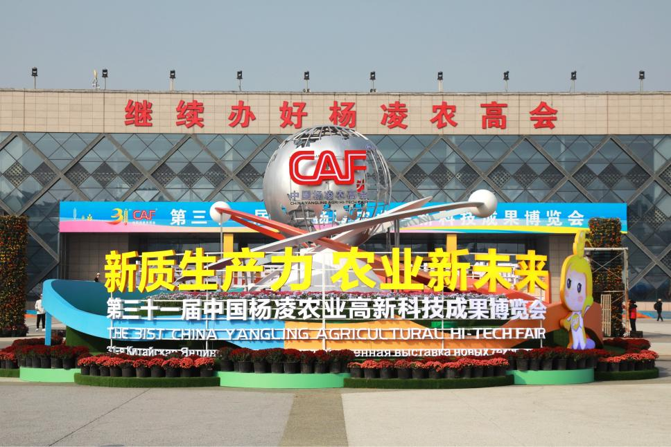 农高会：农业科技的“创新秀场”