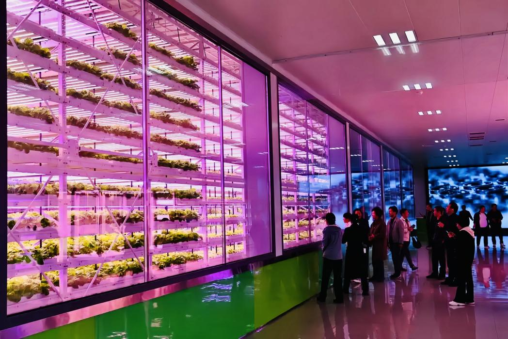 农高会：农业科技的“创新秀场”(图2)