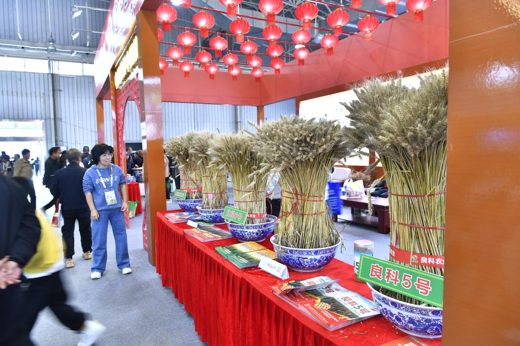 农高会：农业科技的“创新秀场”(图4)