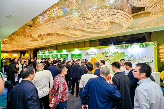 吉林粮食“六大对接”助力优质鲜食玉米产业“串珠成链”