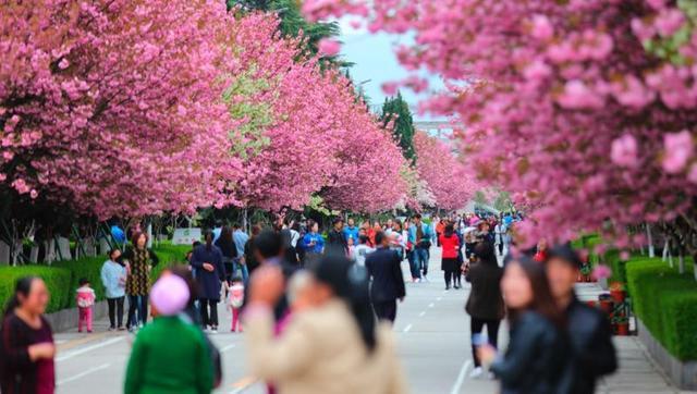 金徽酒：以创新驱动新质生产力 以责任领航可持续发展(图2)