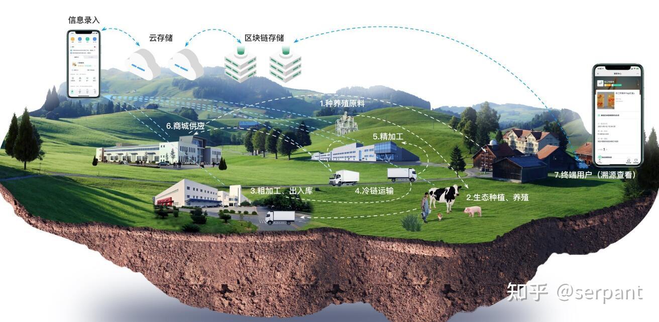 【高端访谈】以创新与合作推动全球农业粮食体系可持续转型——访联合国粮农组织首席经济学家托雷罗