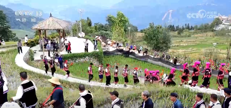 桑基鱼塘、青春IP 解码千年农业文化遗产破“圈”之路(图6)