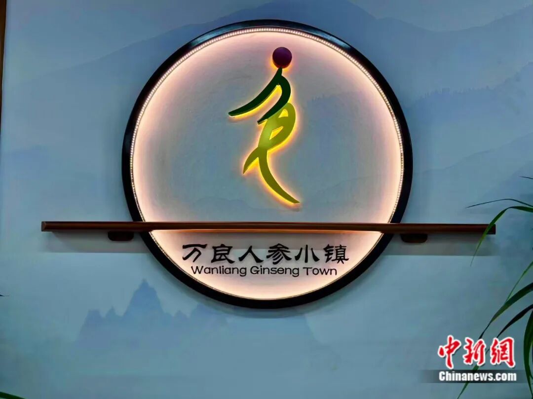 这座东北小城人“参”赢家！(图5)