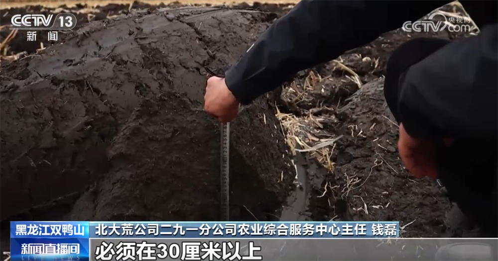 金秋十月“丰”景如画​ 机械化提质增效奏响现代农业“奋进曲”(图4)