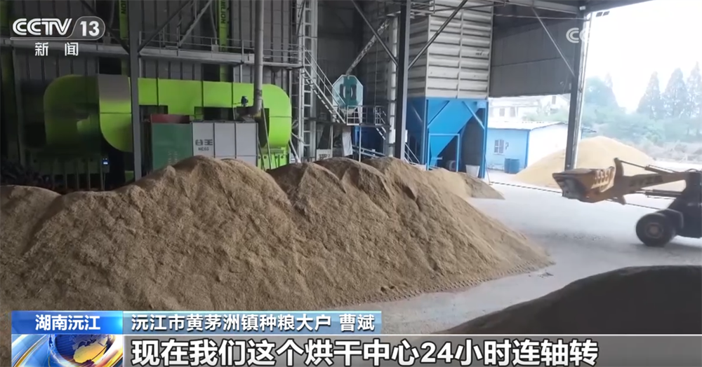 金秋十月“丰”景如画​ 机械化提质增效奏响现代农业“奋进曲”(图8)